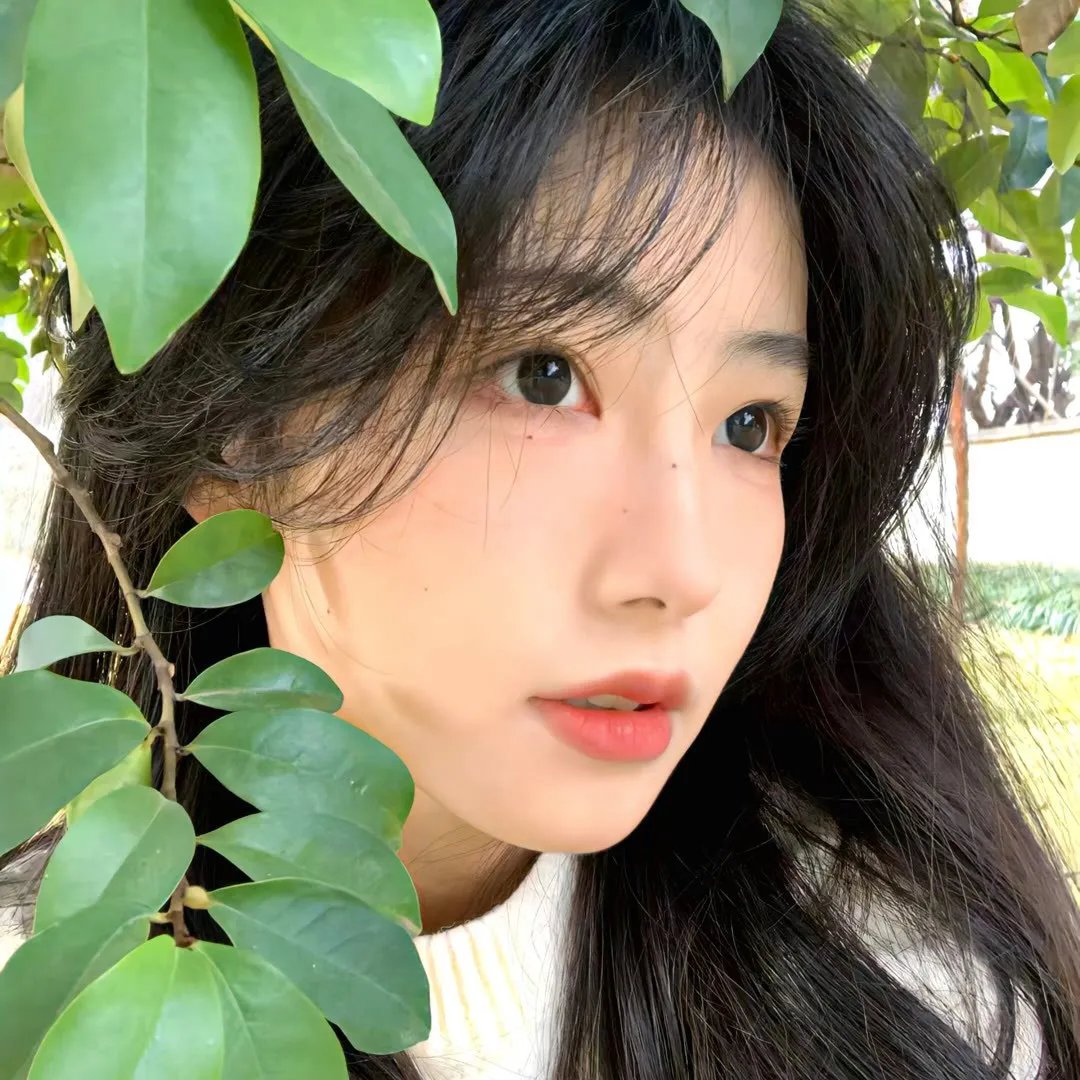 宠婚来袭第二季